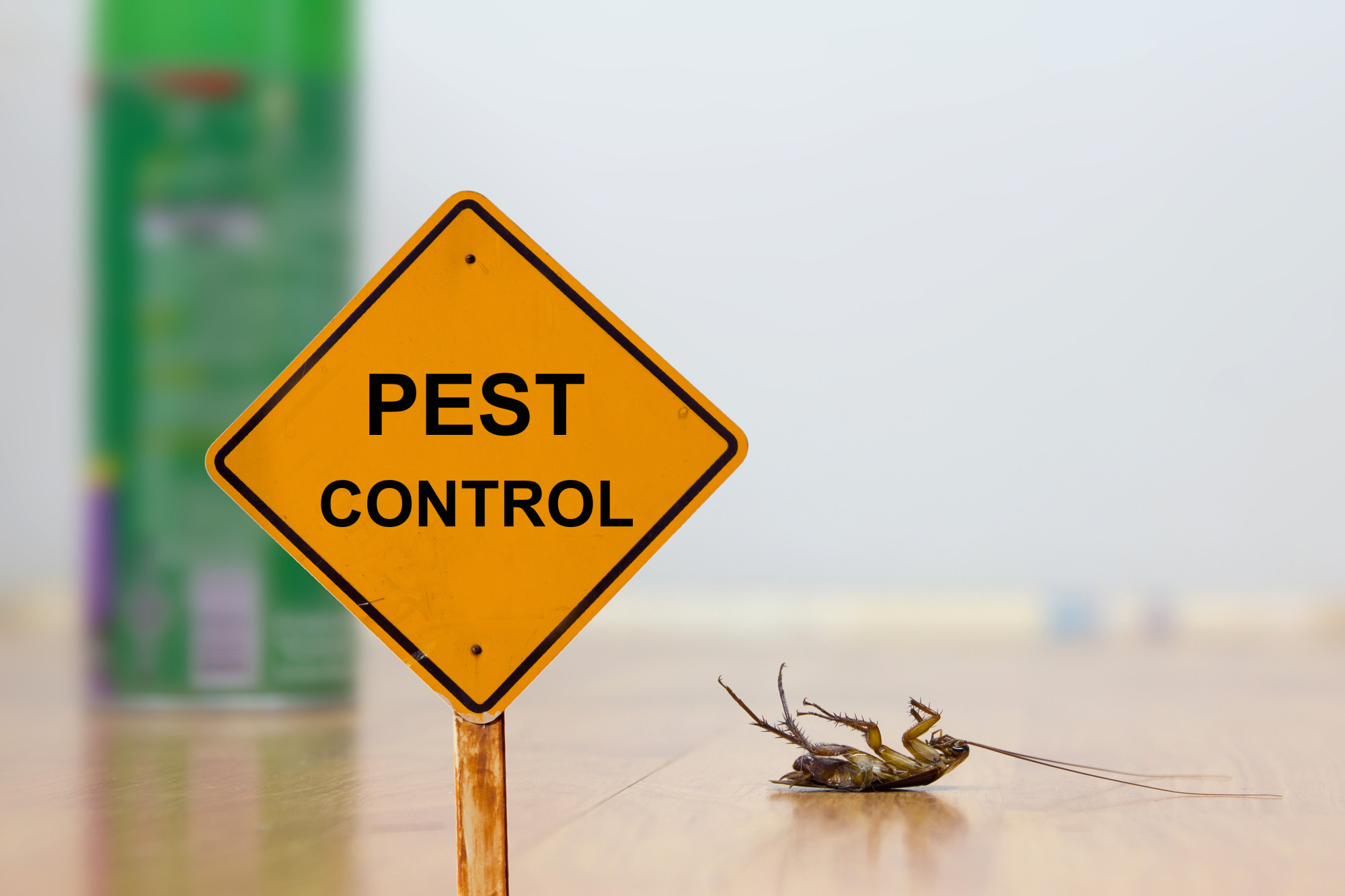 Sydney Pest Control Experts - Fast, Efficient, and Affordable
