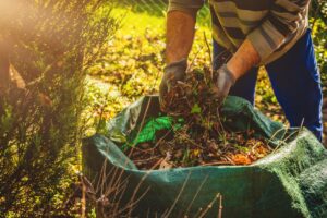 Effective, quick, and professional ways to pick up yard waste when you prune trees proactively