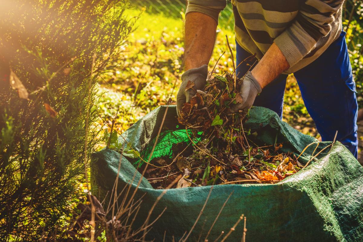 Effective, quick, and professional ways to pick up yard waste when you prune trees proactively